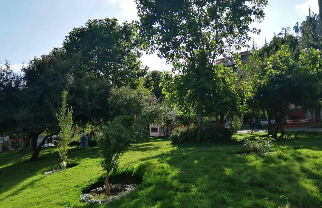 Huarango House II-1