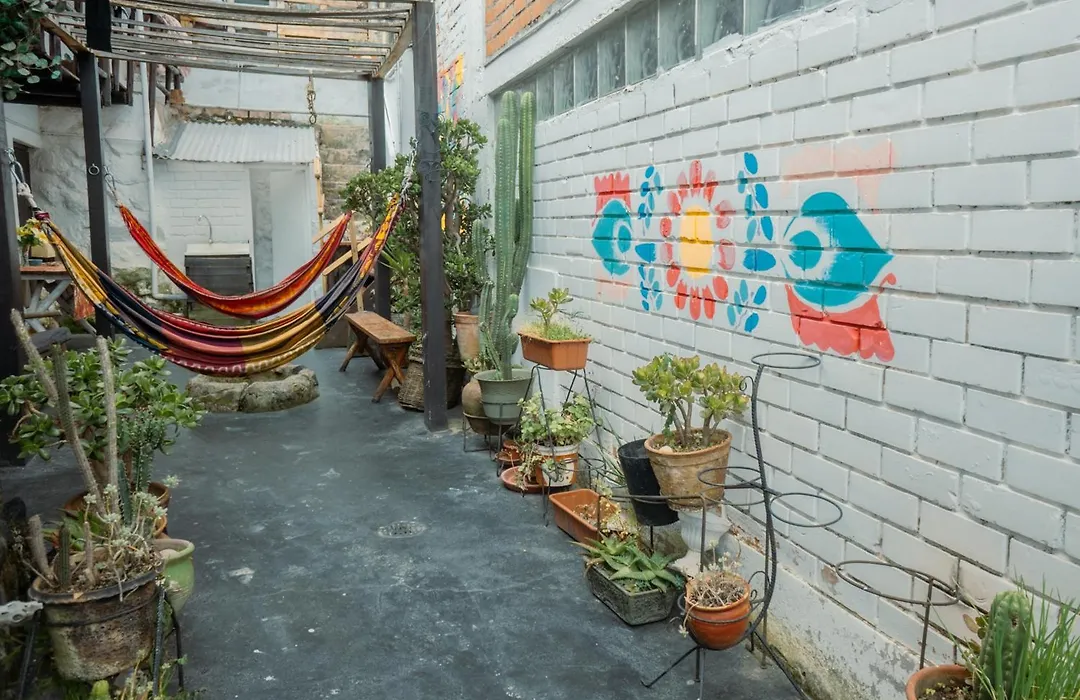 Native Soul Guesthouse-1
