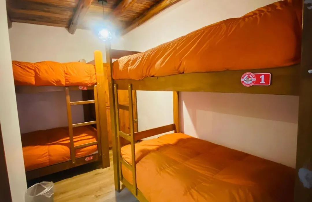 Flying Dog Hostel Cusco-1