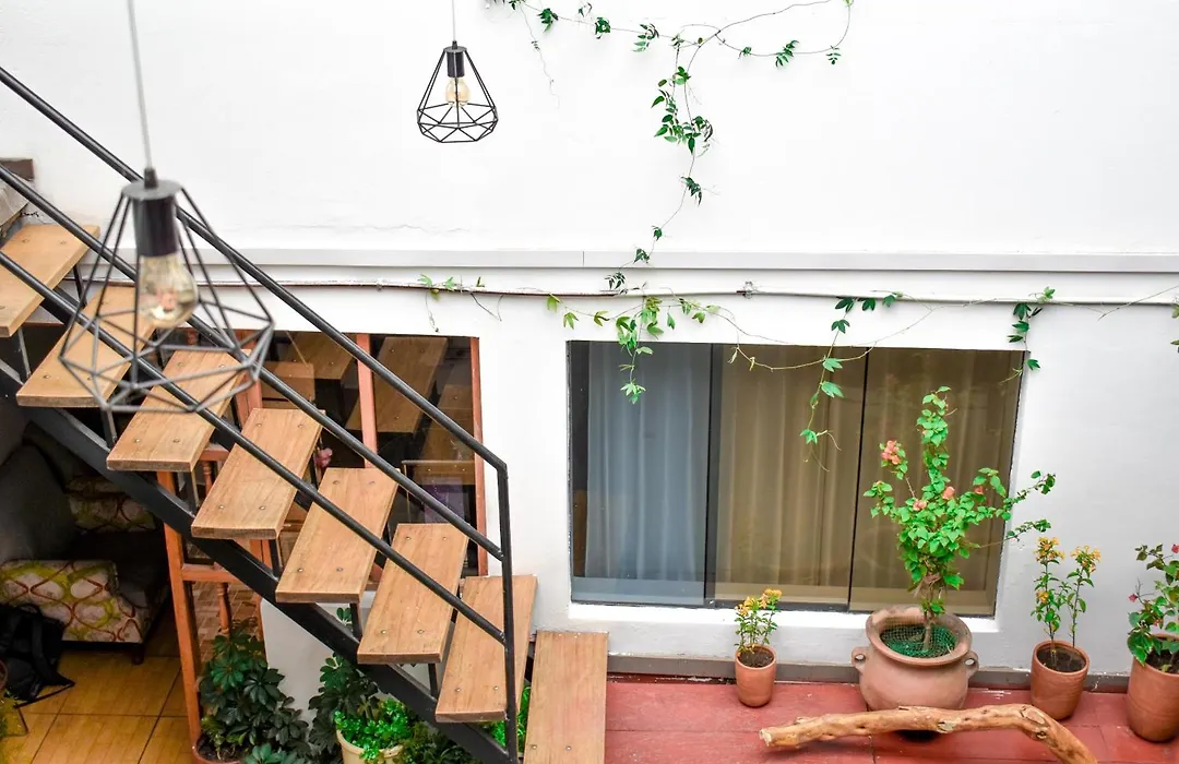 Apart Y Hostal "El Puma"-1