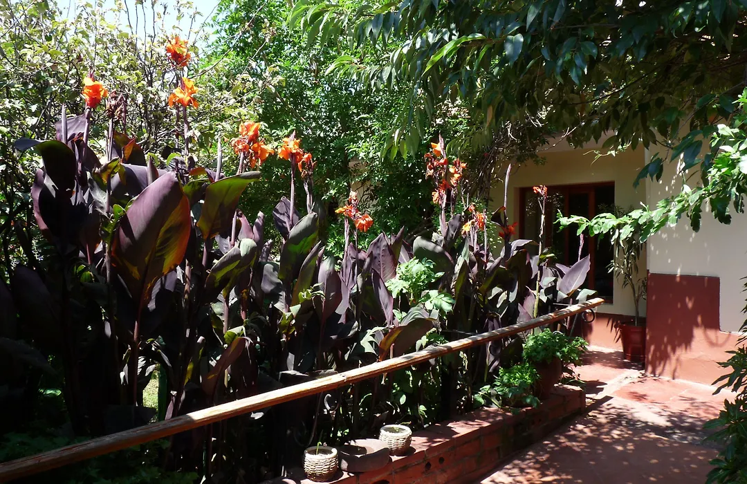 Kukuli Lodge B&B-1