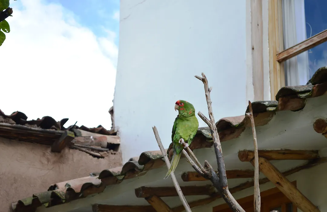 Casona La Recoleta-1