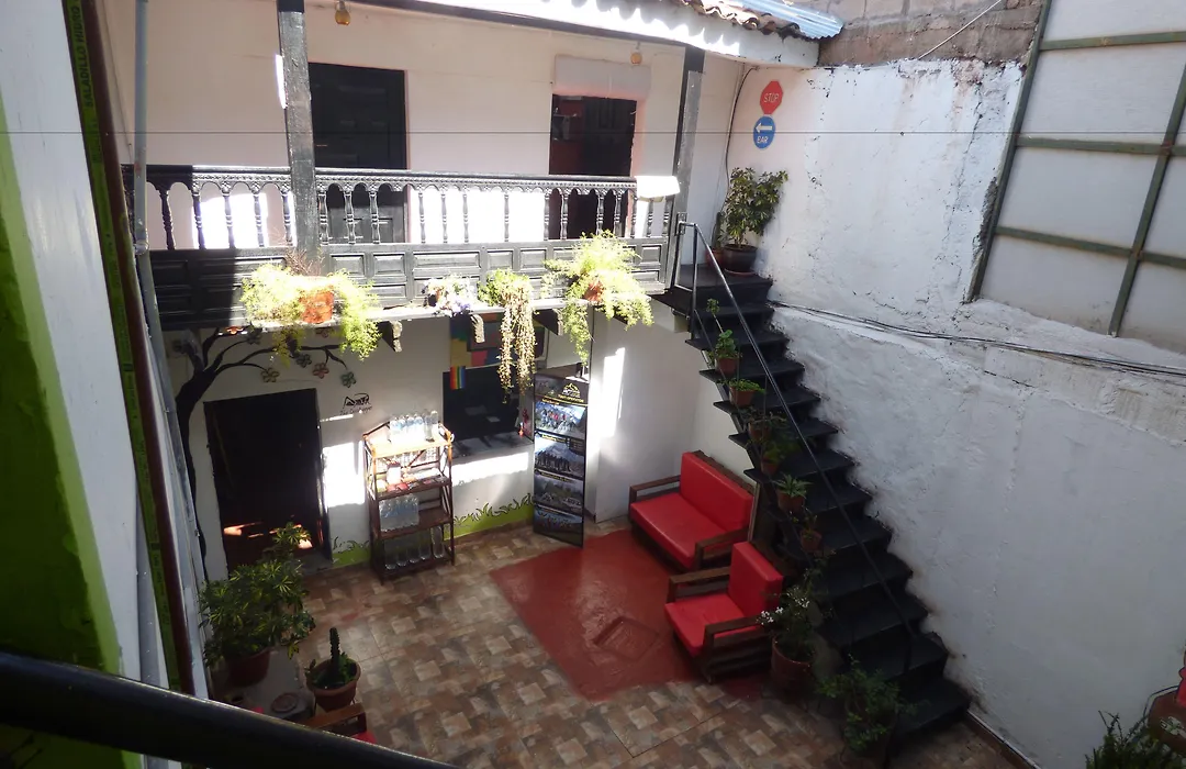 The Grasshopper Hostel-1