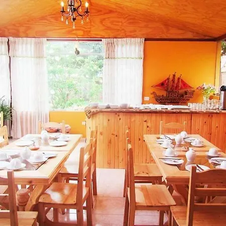 Zava House-3