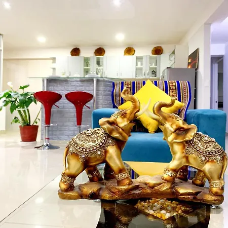 Luxury & Stylish 4 Mins From The Airport-3
