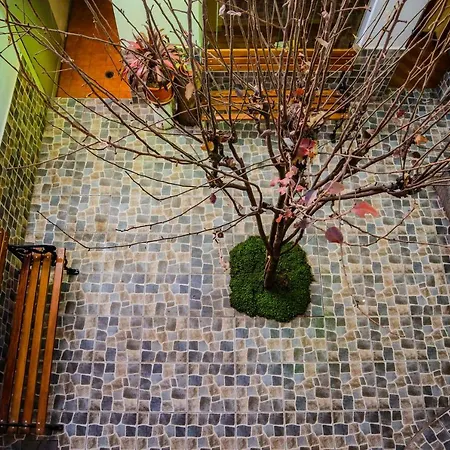Inka City Hostel-3