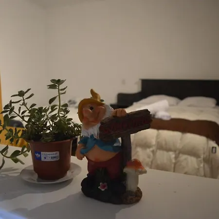 Hotel Jacob Bananas Vip-2