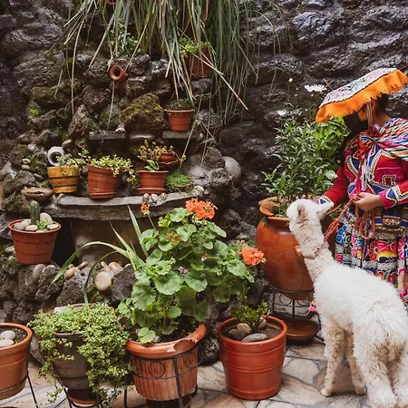 House Cusco-2