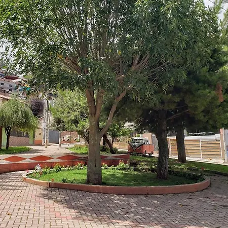 El Hijo Del Sol-2