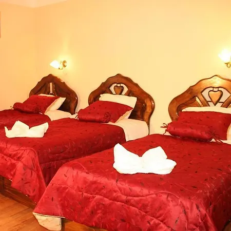 Hotel Carmen Plaza-2