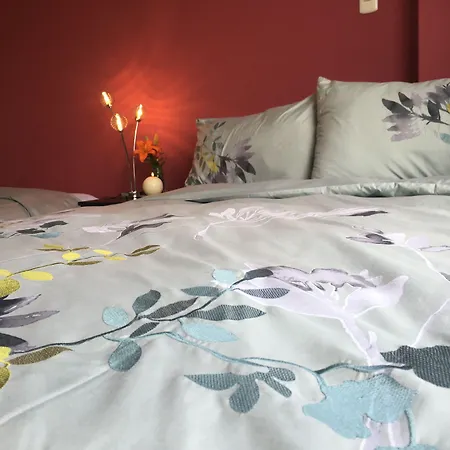 Comodo Y Seguro Homestay-2