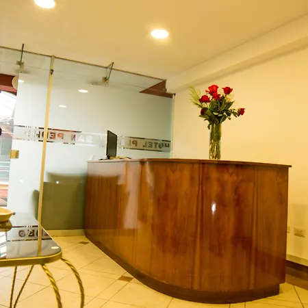 Hotel San Pedro Plaza-3