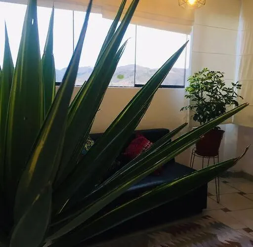 Aparment Near The Main Square With Nice View. Appartamento Cuzco che accetta animali
