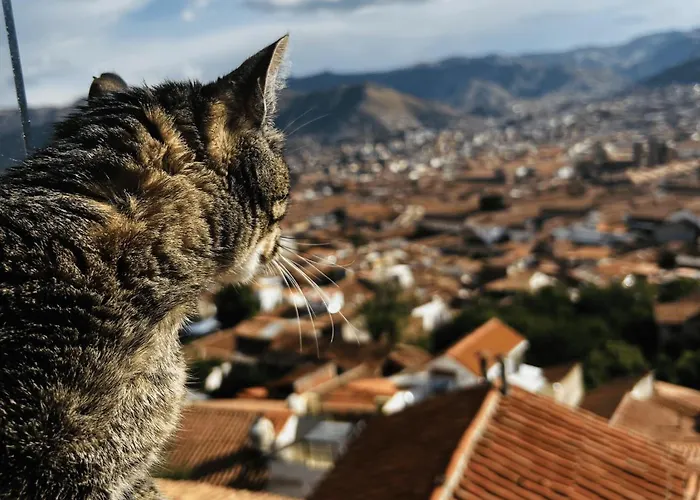 Summit Viewpoint House San Blas Cuzco